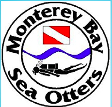 monterey bay sea otters